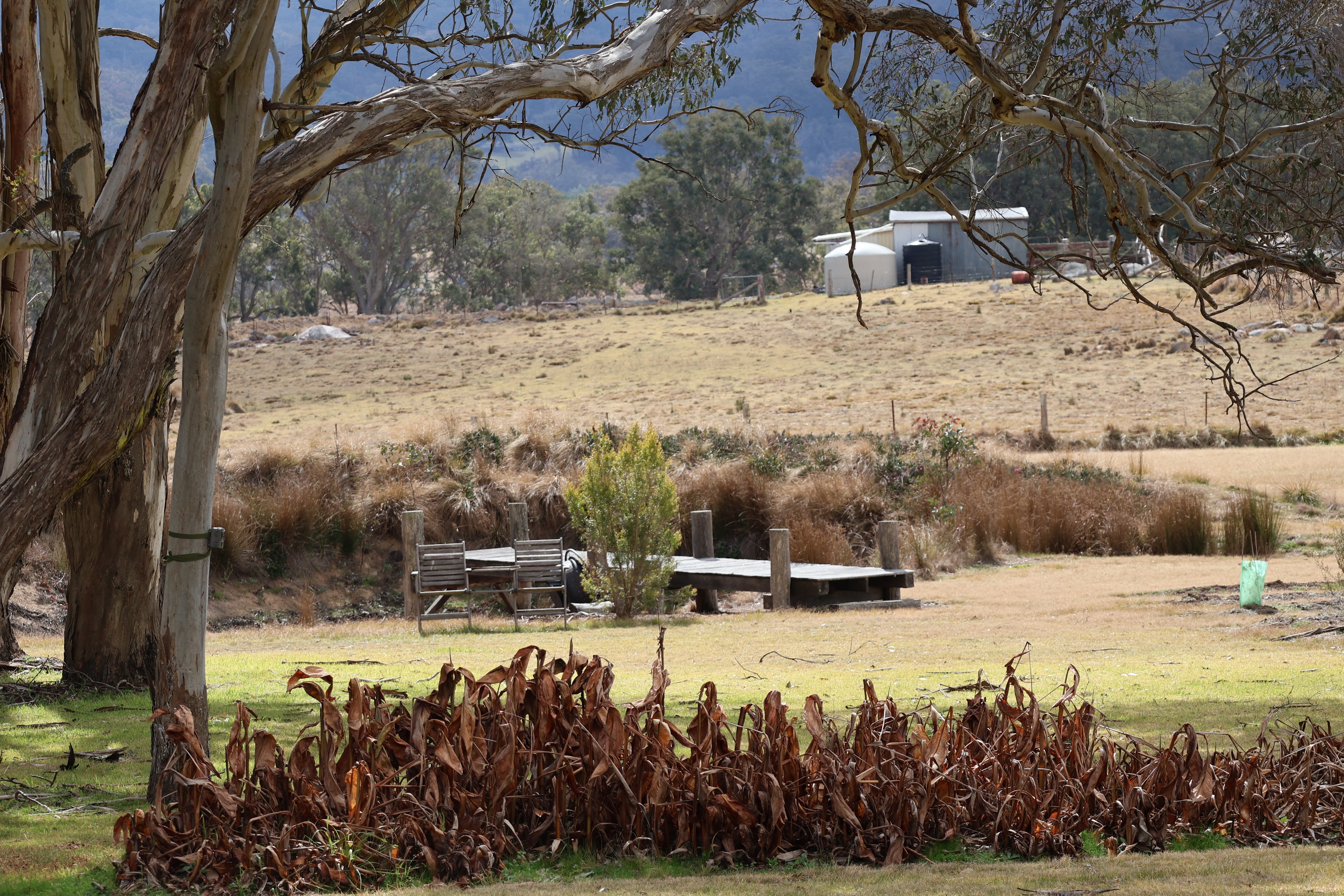 A little glimpse of Life on the Farm